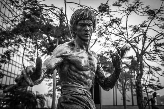 2. Jismoniy faoliyat va tiklanish